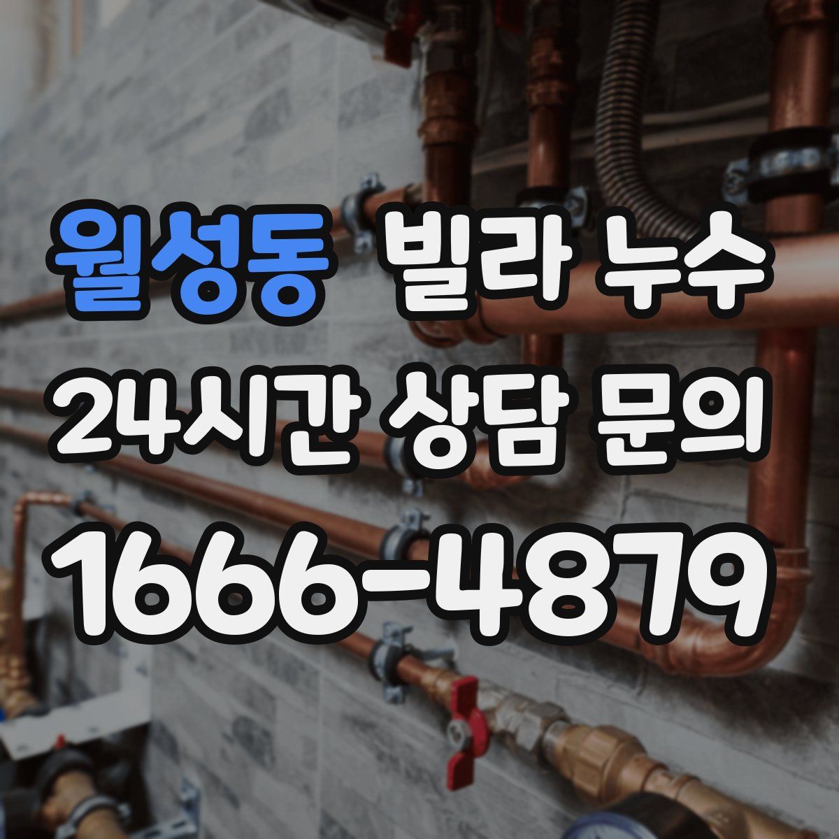 월성동 빌라 누수