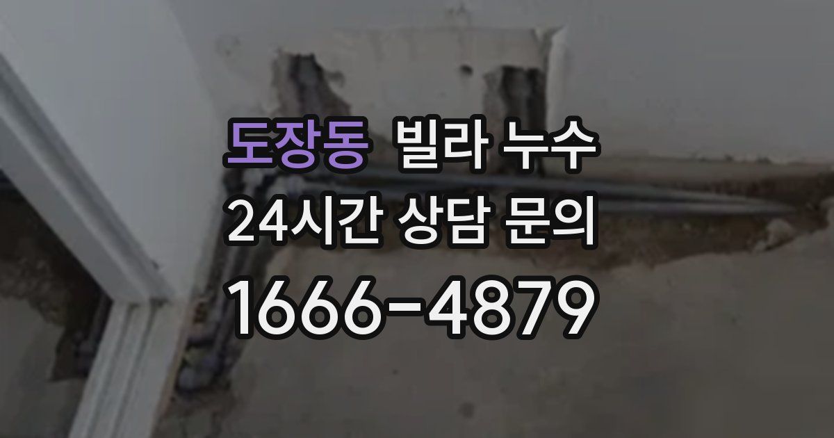 도장동 빌라 누수