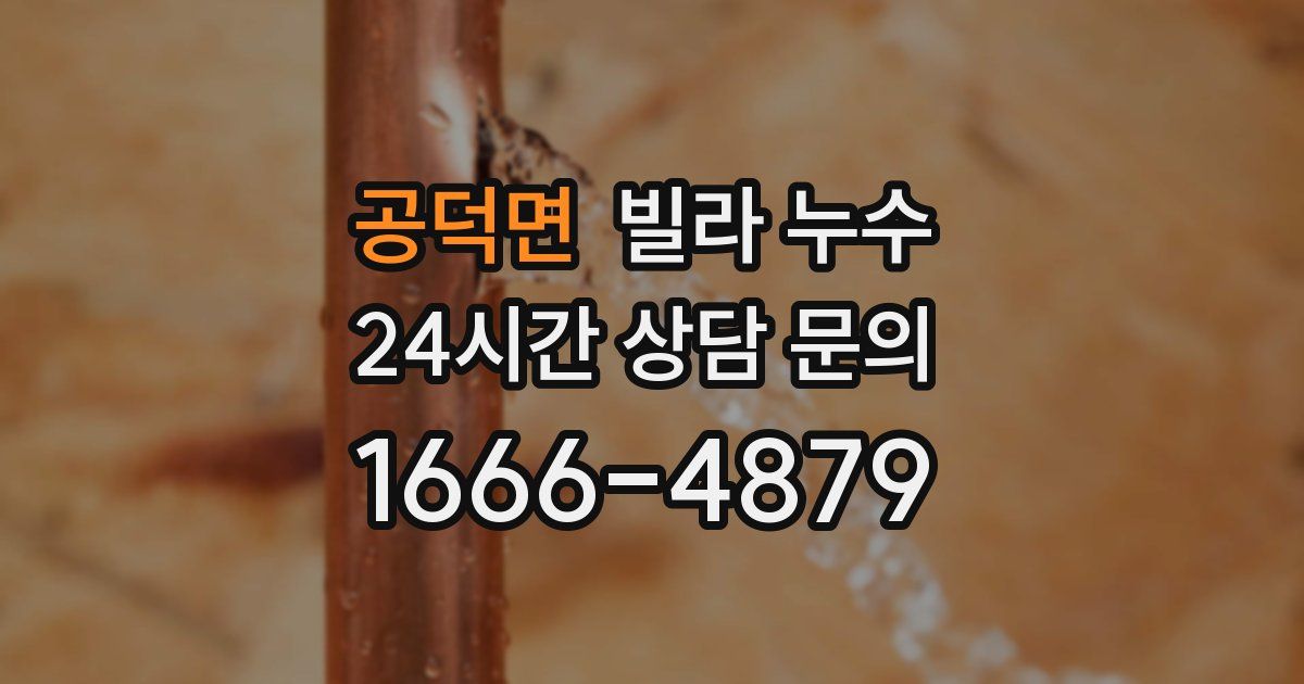 공덕면 빌라 누수