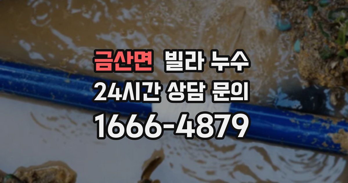 금산면 빌라 누수