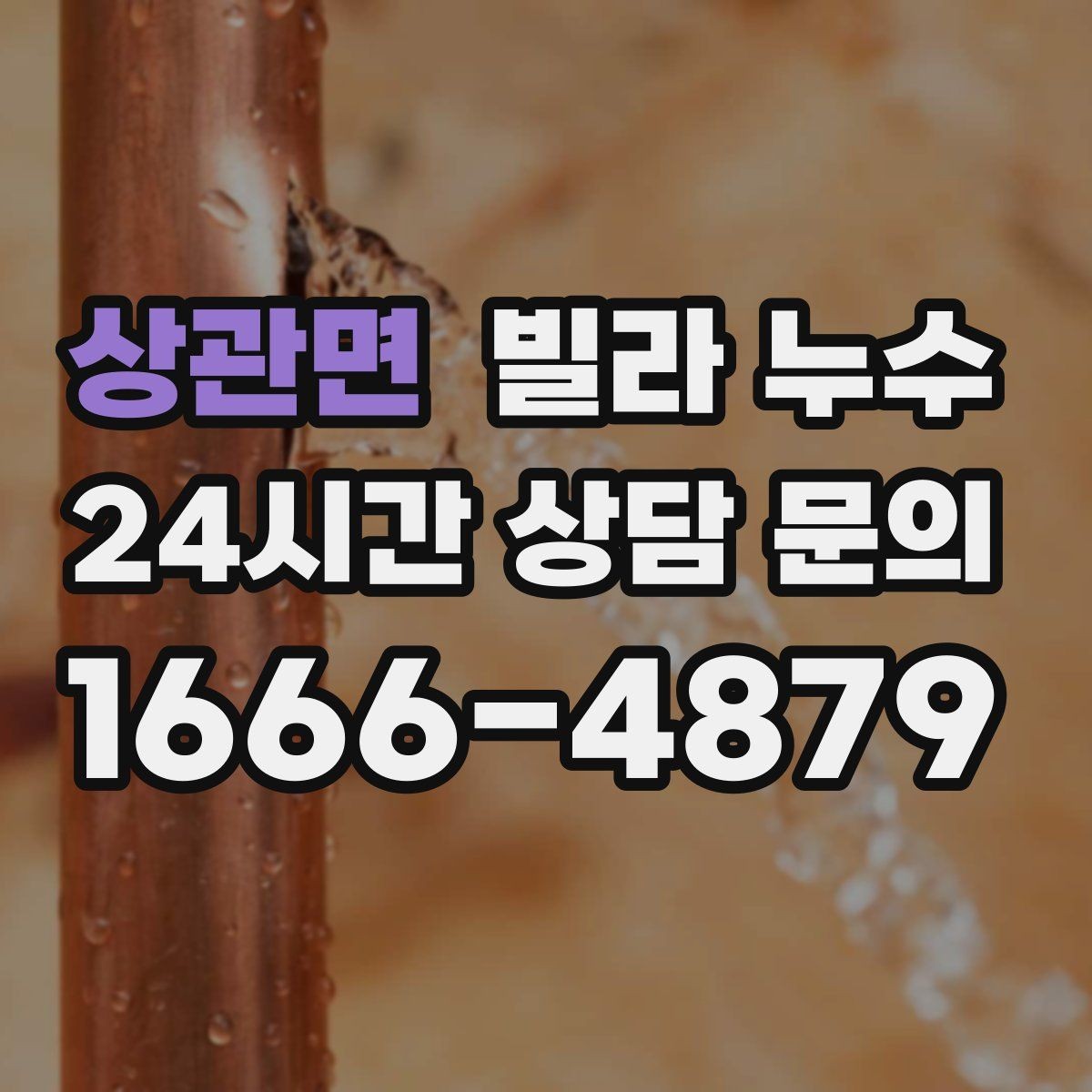 상관면 빌라 누수 욕실 벽 타일 사이 물스밈이 늘었다면