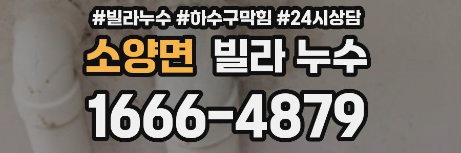 소양면 빌라 누수