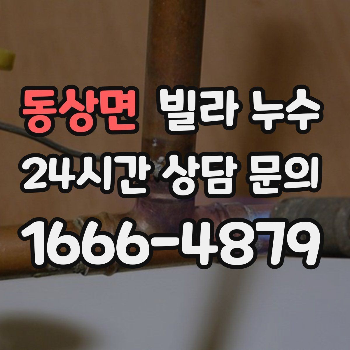 동상면 빌라 누수 현관 바닥이 젖으면 외부 유입일까
