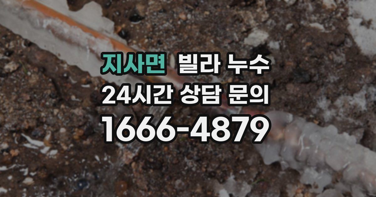 지사면 빌라 누수