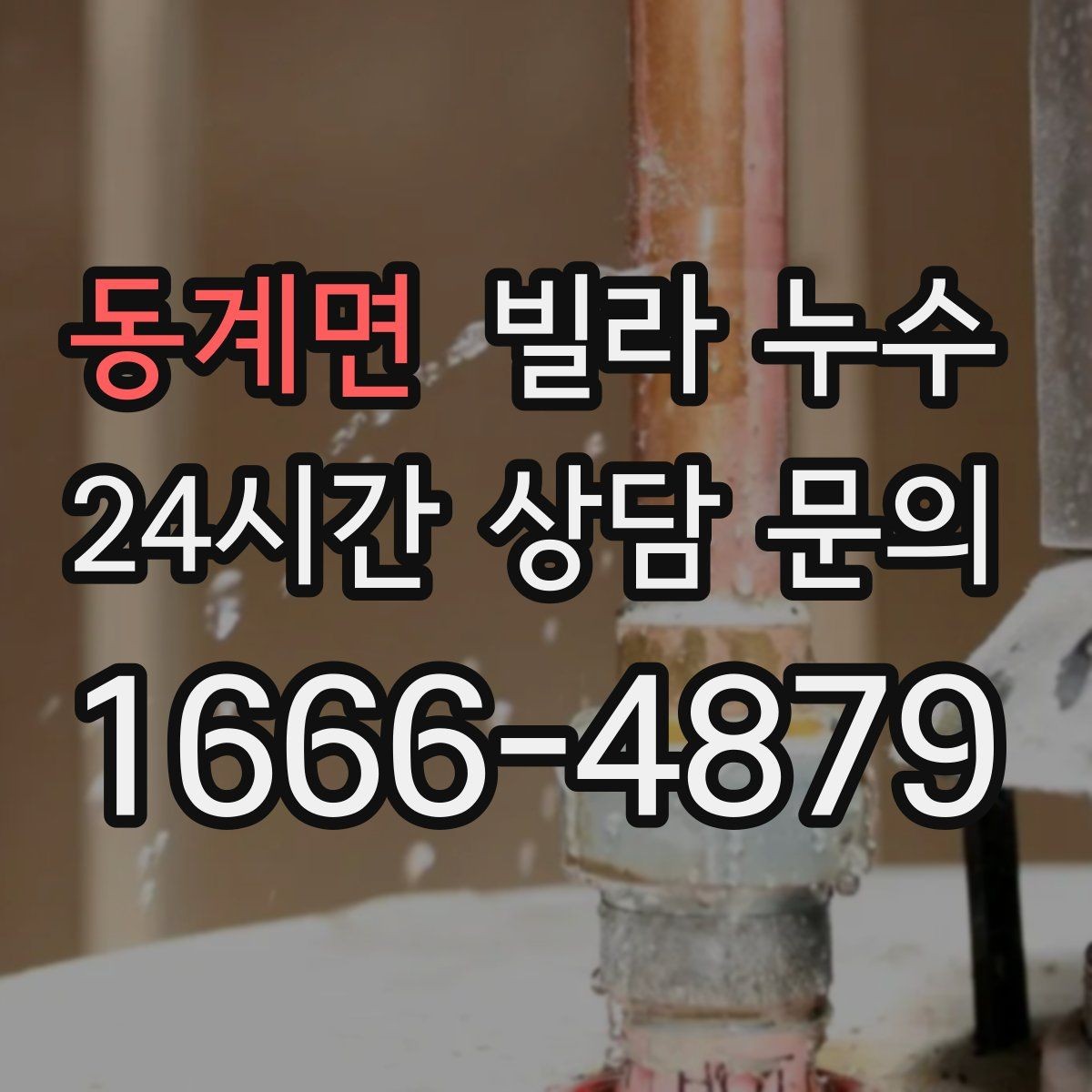 동계면 빌라 누수 도배만 다시 하면 재발하는 이유