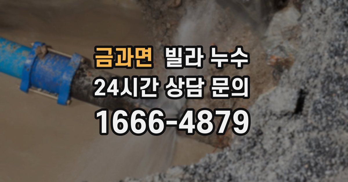 금과면 빌라 누수