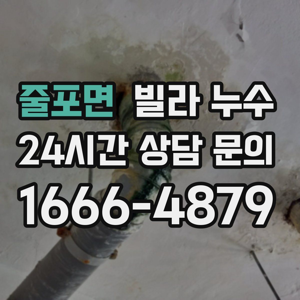 줄포면 빌라 누수