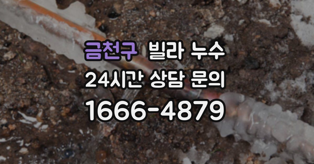 금천구 빌라 누수