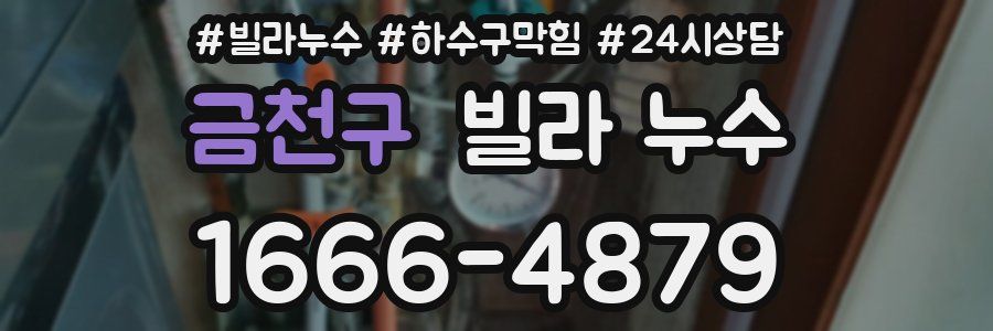 금천구 빌라 누수