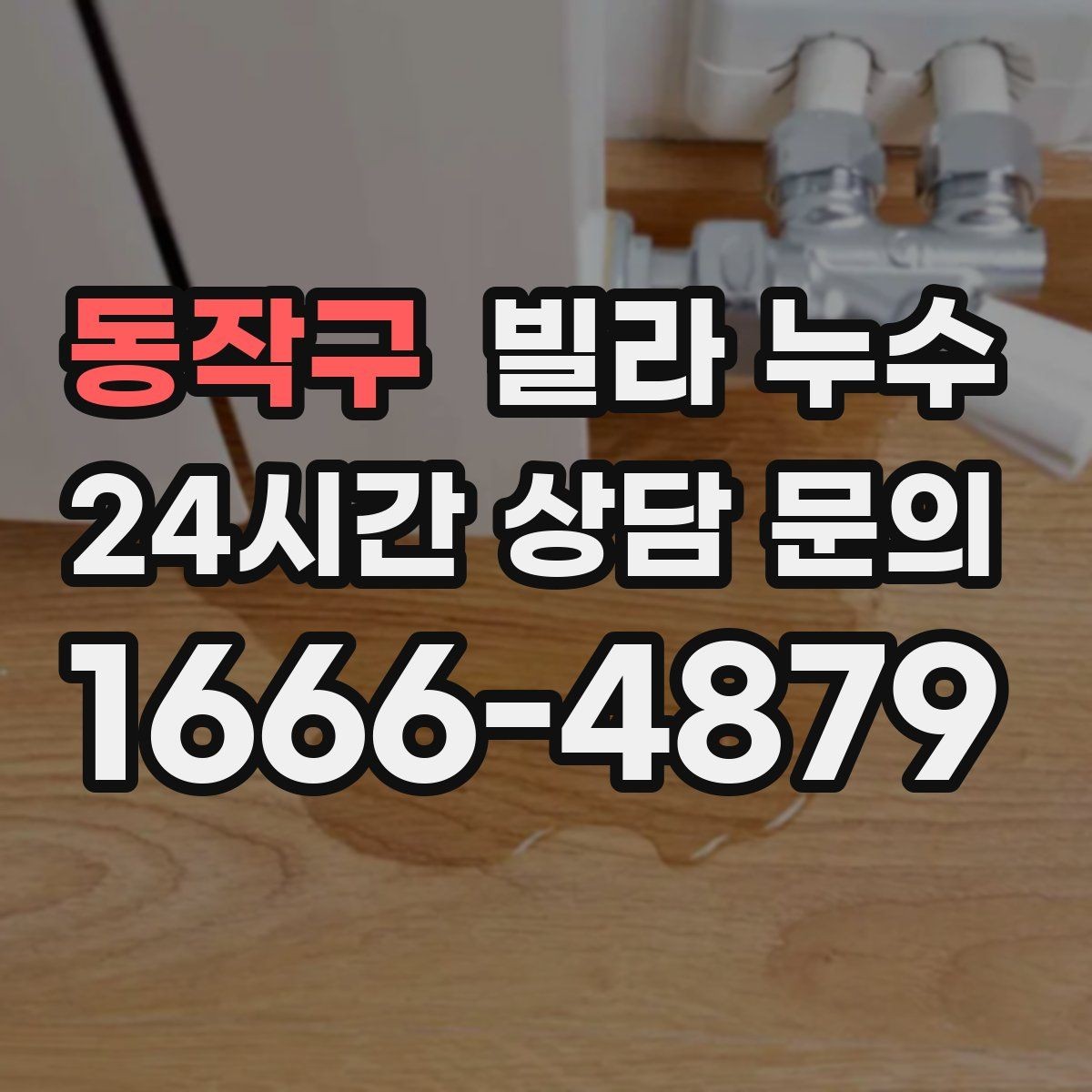 동작구 빌라 누수 세탁실 배수구가 넘치면 누수처럼 보일 수 있어요
