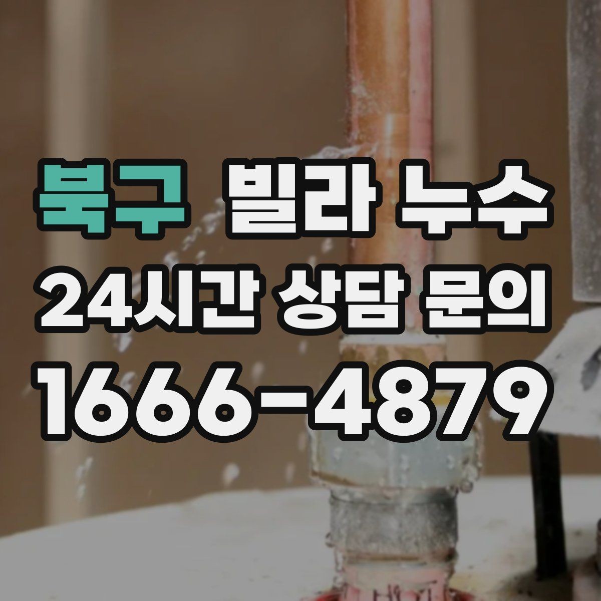 북구 빌라 누수 욕실 바닥 타일 틈새가 원인일 수 있어요