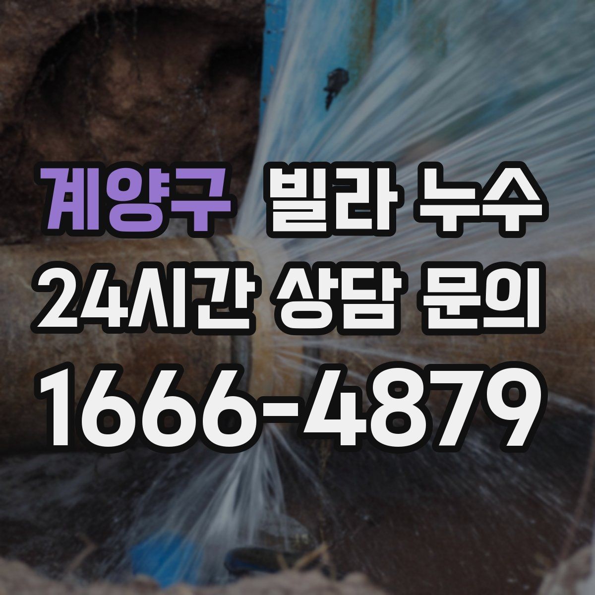 계양구 빌라 누수 벽 뒤편 곰팡이가 반복되면 누수 의심
