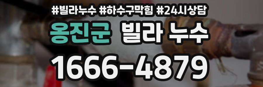 옹진군 빌라 누수