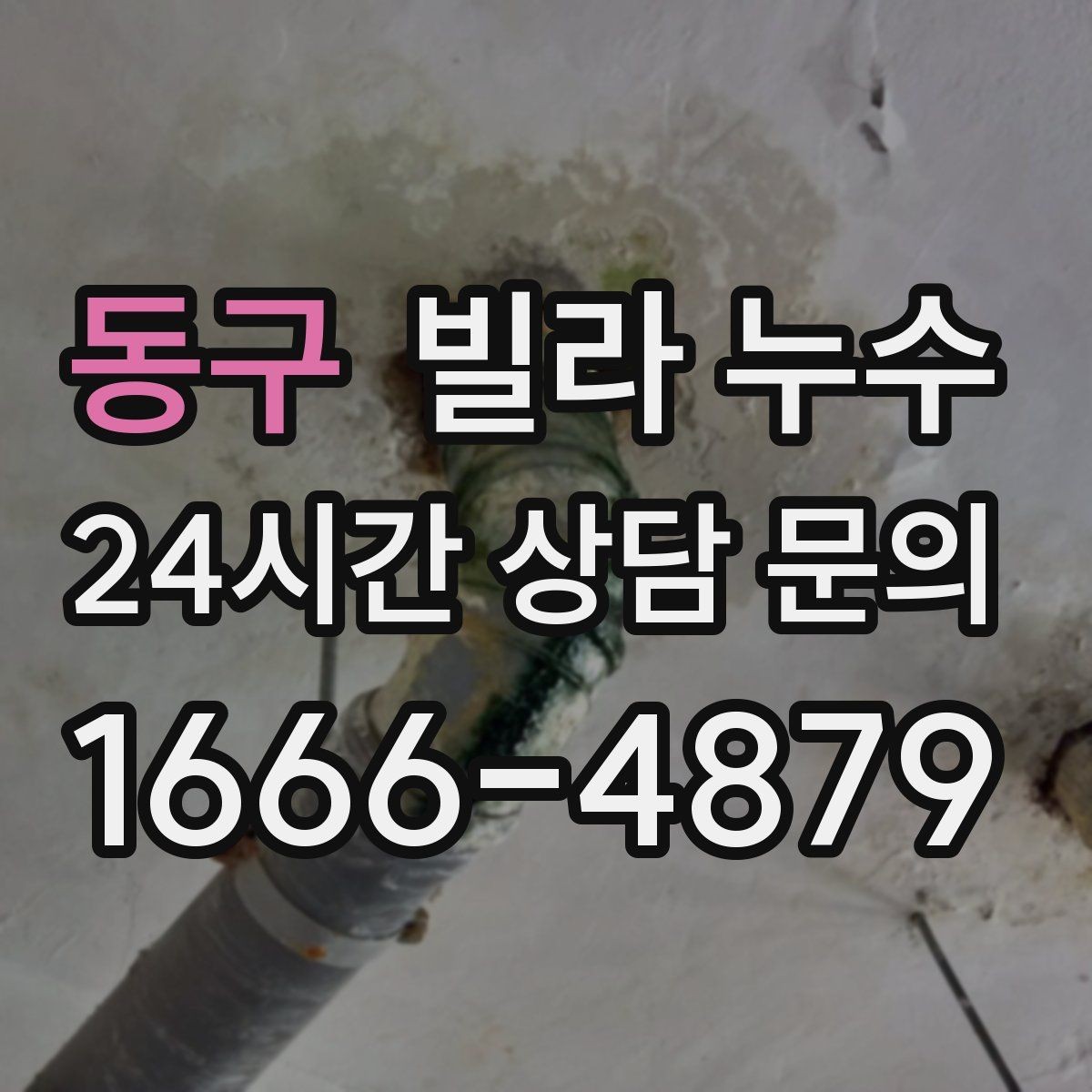 동구 빌라 누수 빗물 유입과 배관 누수 구분이 어려울 때