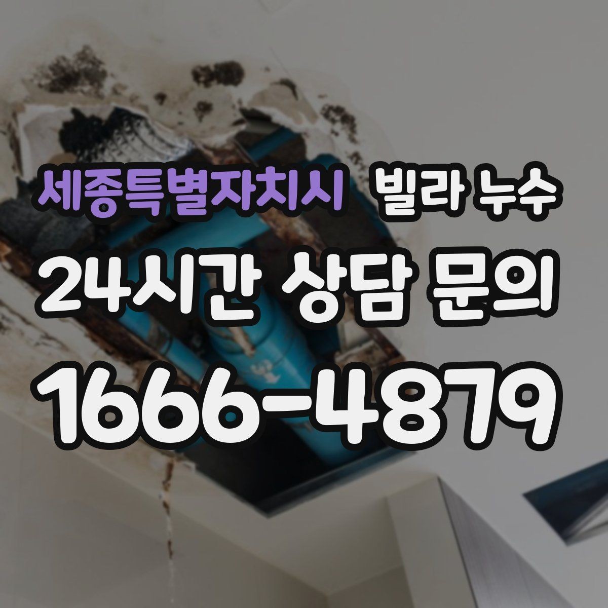 세종특별자치시 빌라 누수 현관 바닥이 젖으면 외부 유입일까