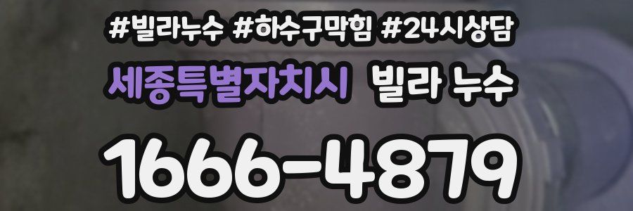 세종특별자치시 빌라 누수