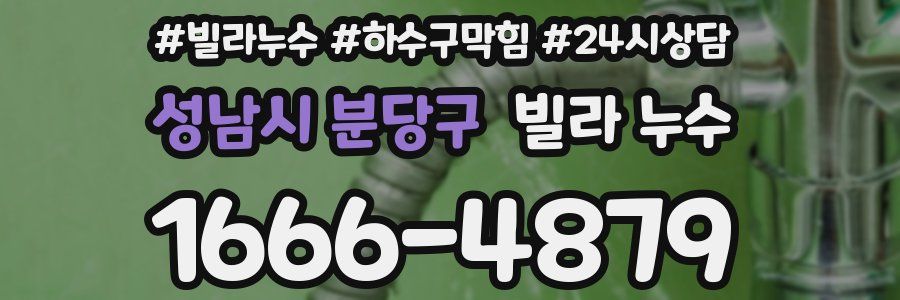 성남시 분당구 빌라 누수