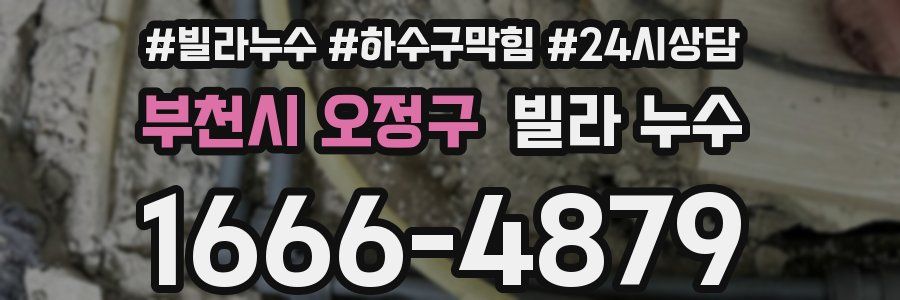 부천시 오정구 빌라 누수