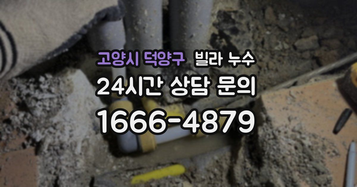 고양시 덕양구 빌라 누수