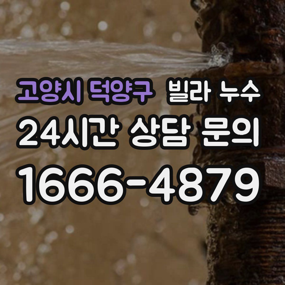 고양시 덕양구 빌라 누수