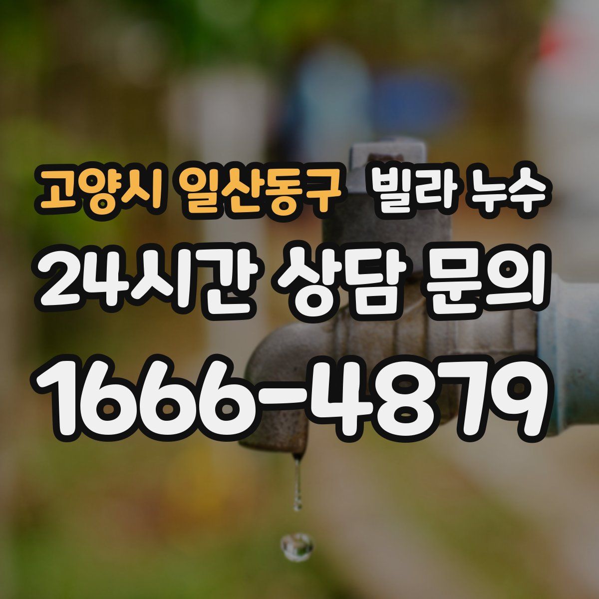 고양시 일산동구 빌라 누수