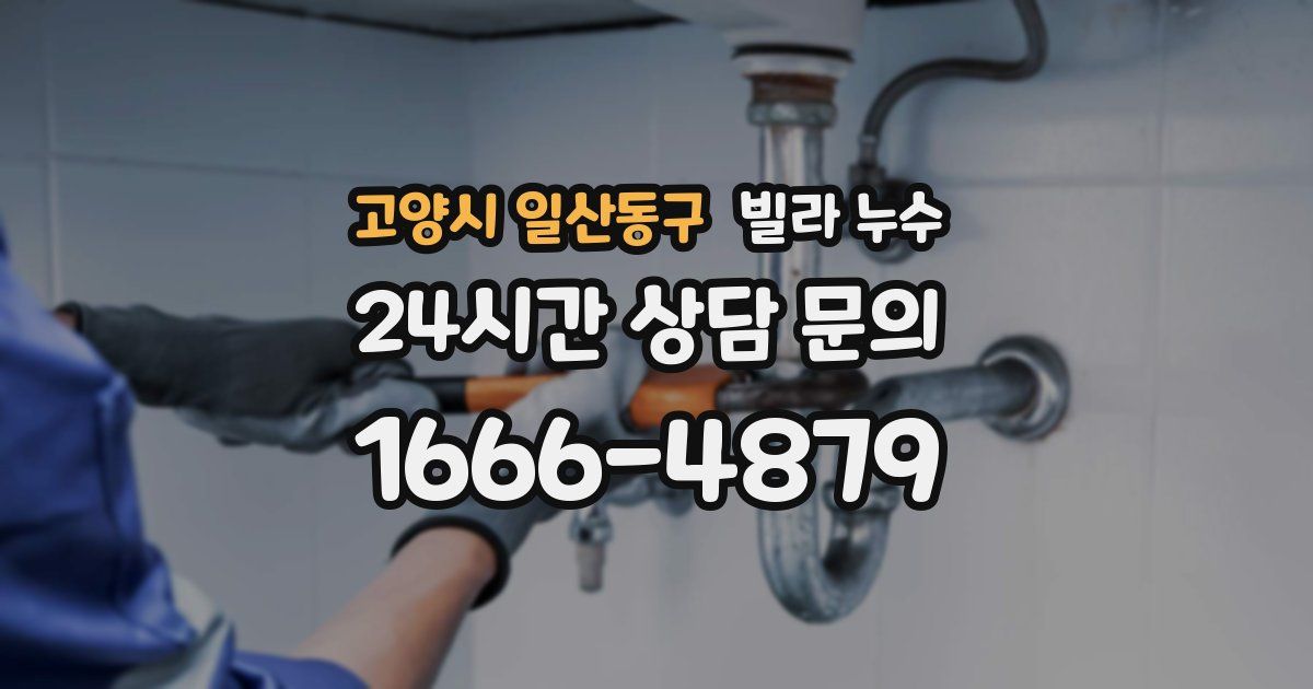 고양시 일산동구 빌라 누수