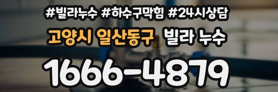 고양시 일산동구 빌라 누수