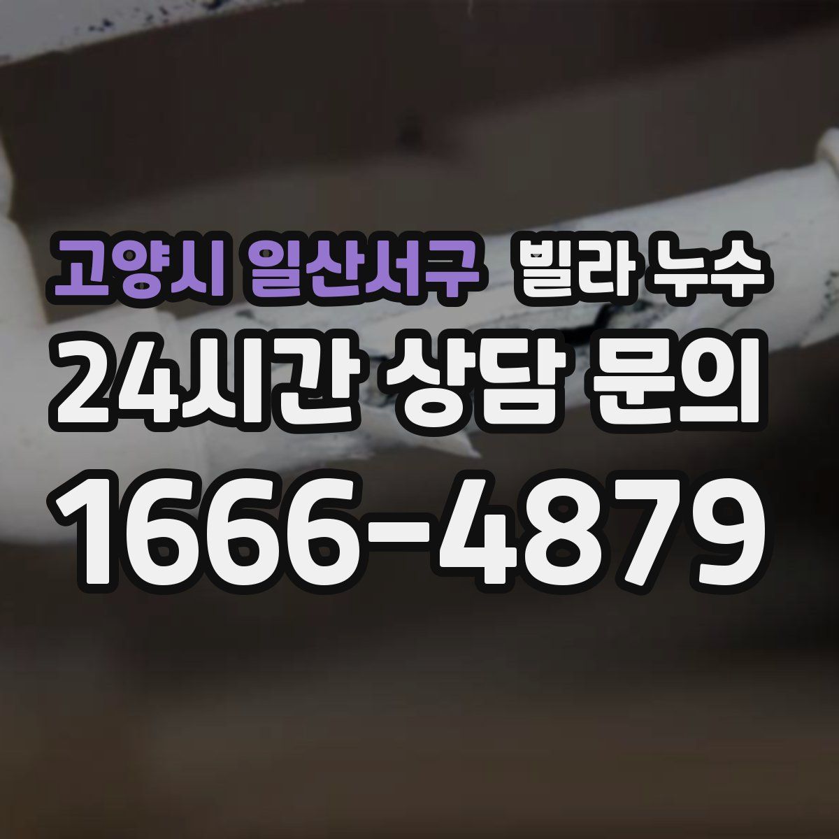 고양시 일산서구 빌라 누수