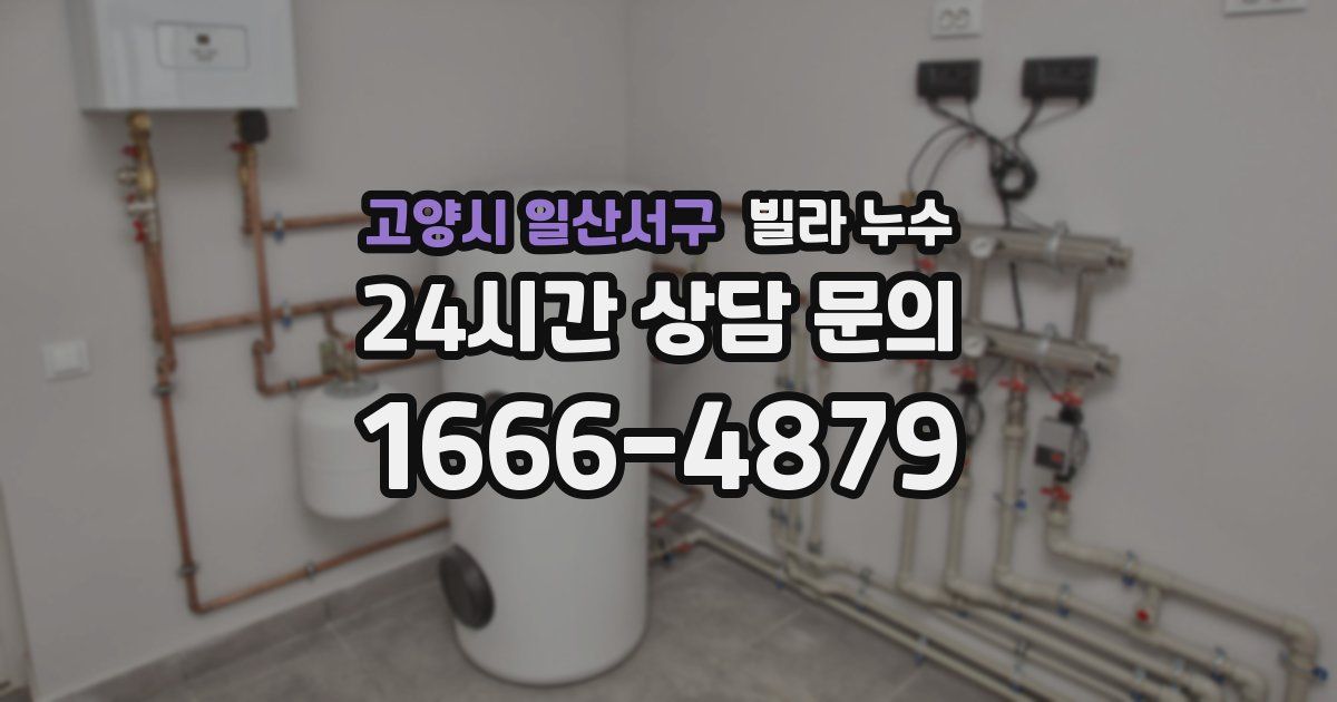 고양시 일산서구 빌라 누수