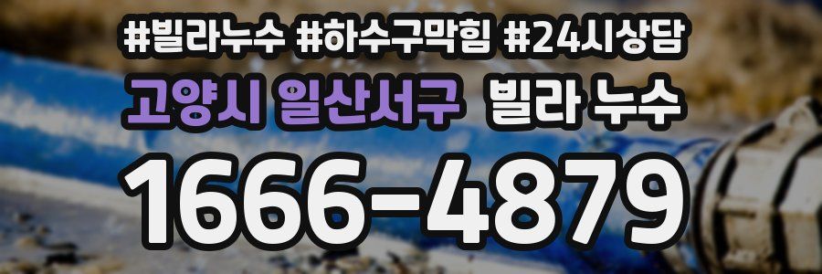 고양시 일산서구 빌라 누수