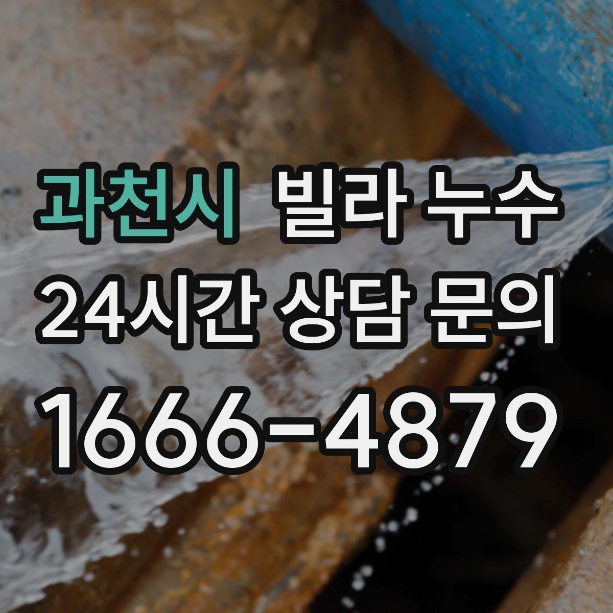 과천시 빌라 누수 벽지 이음새가 벌어지면 누수를 의심해보세요