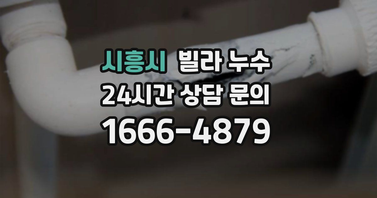 시흥시 빌라 누수