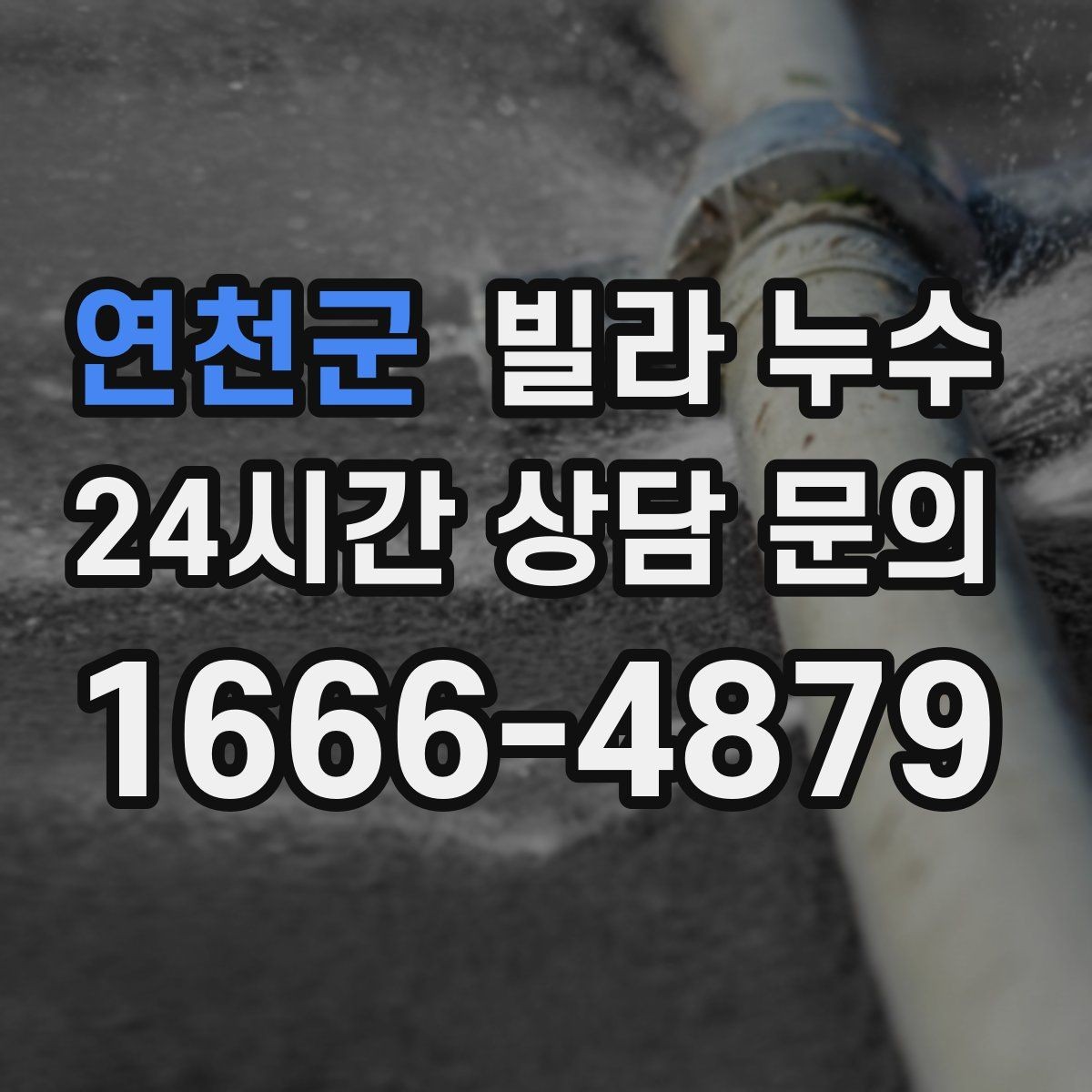 연천군 빌라 누수 욕실 타일 사이 물스밈이 늘었다면