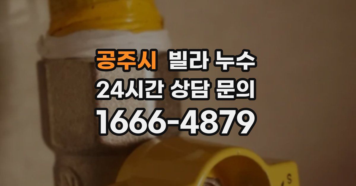 공주시 빌라 누수