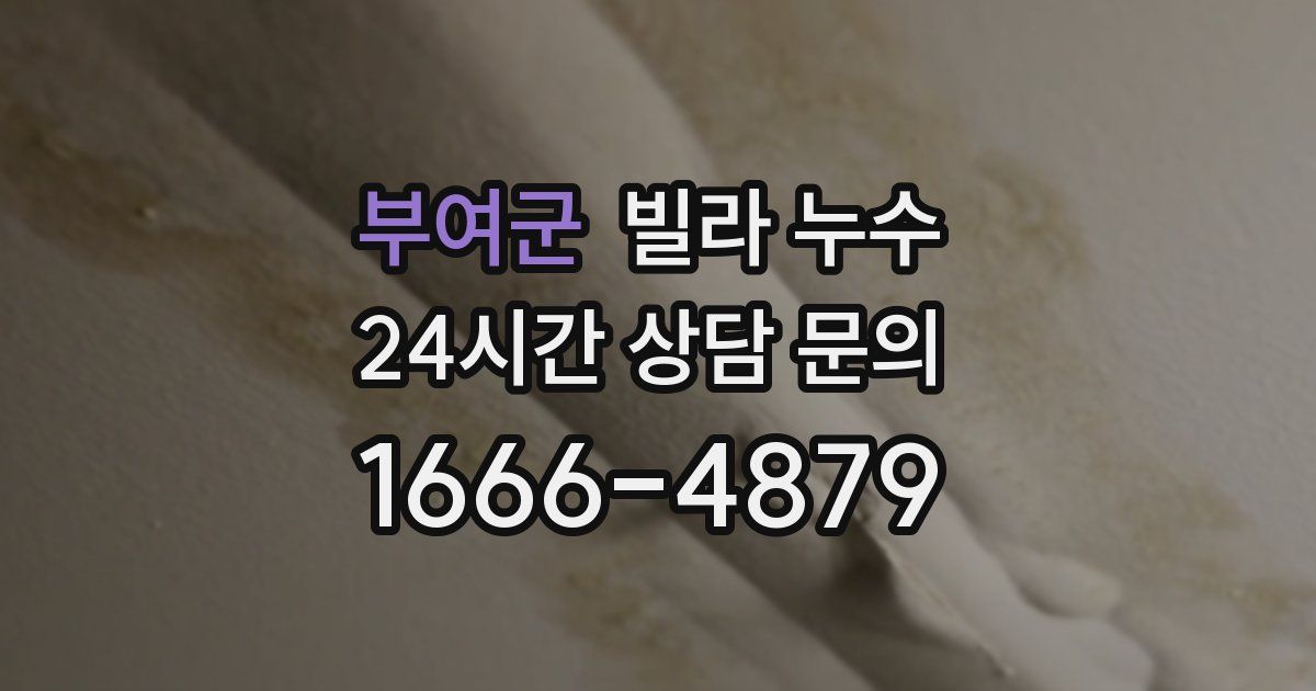 부여군 빌라 누수