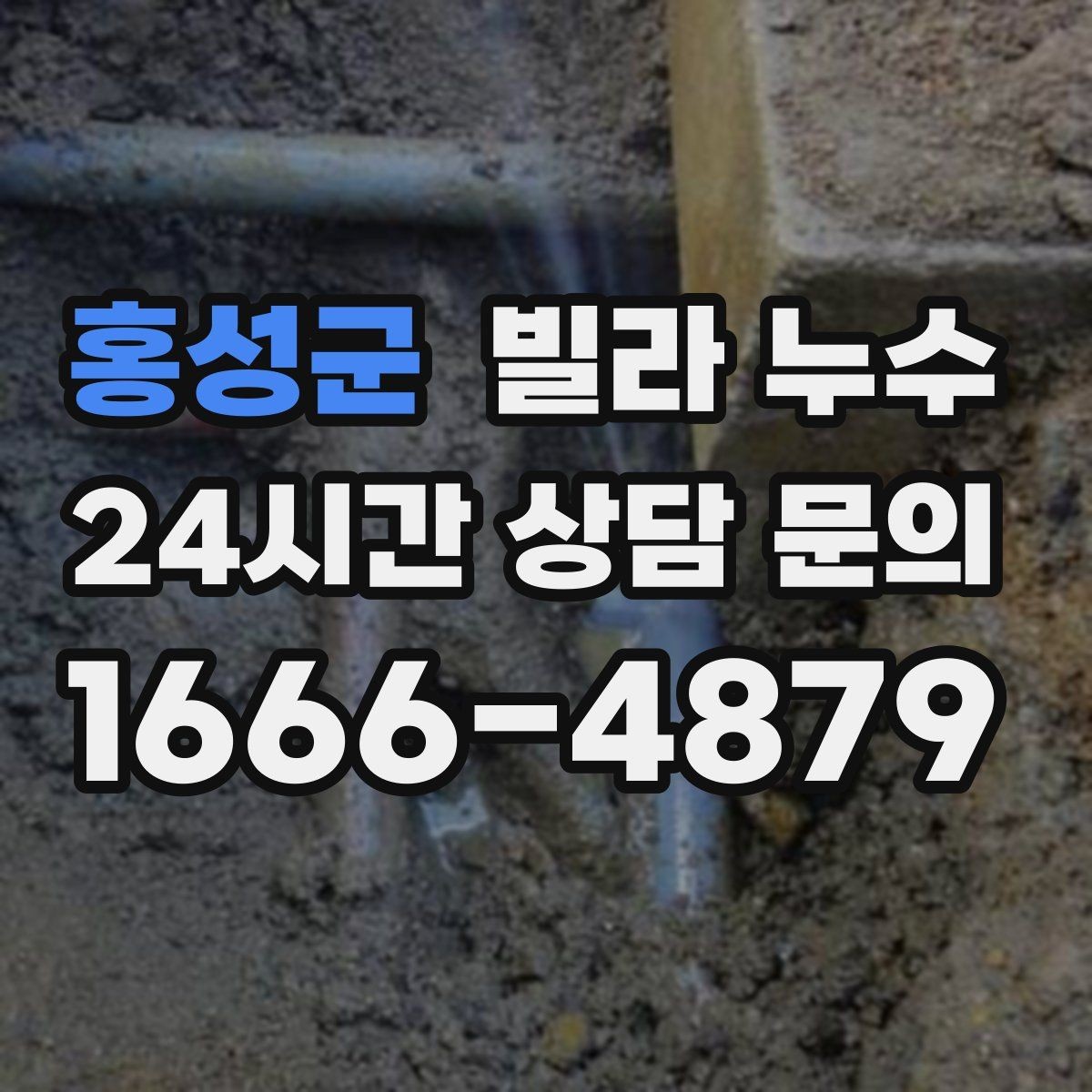 홍성군 빌라 누수 배수관 문제로 벽이 젖는 경우 정리