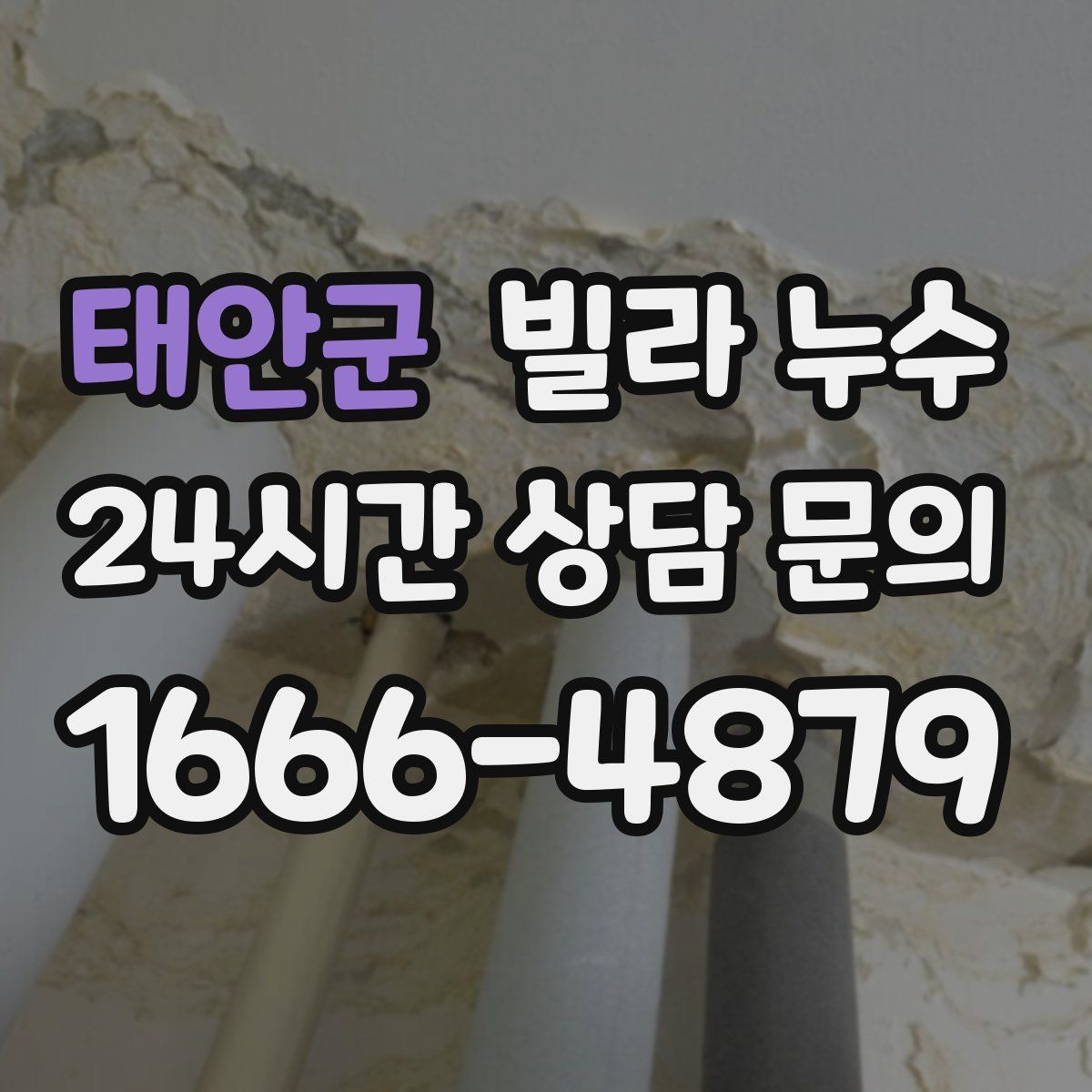 태안군 빌라 누수