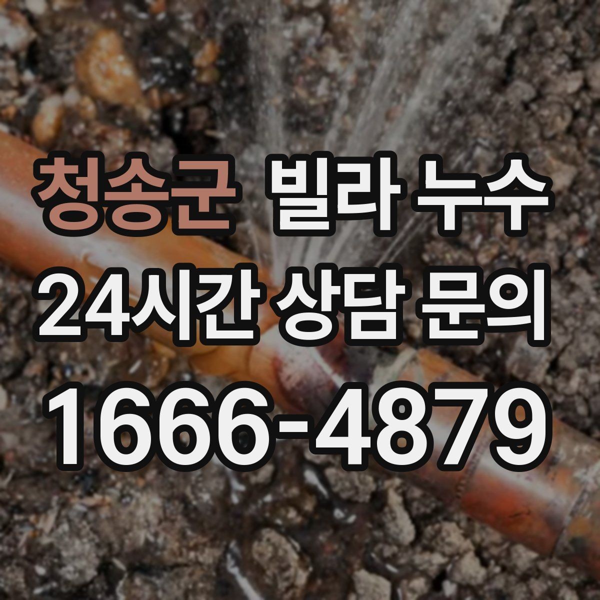 청송군 빌라 누수 현관 바닥이 젖으면 외부 유입일까