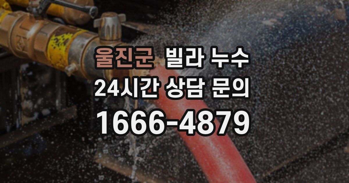 울진군 빌라 누수