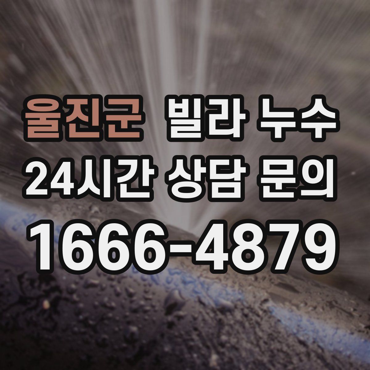 울진군 빌라 누수