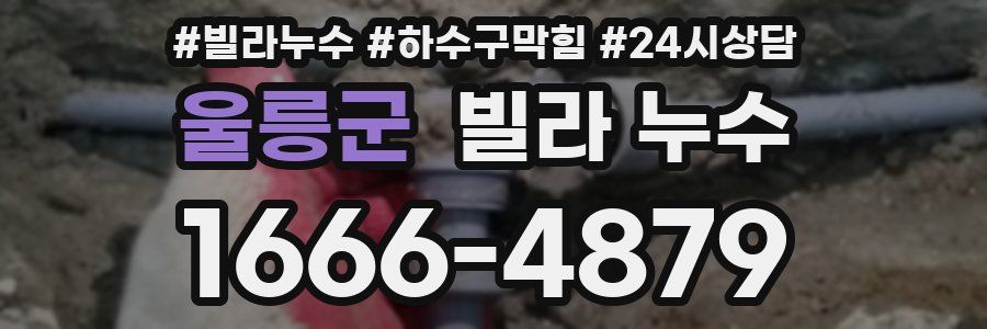 울릉군 빌라 누수