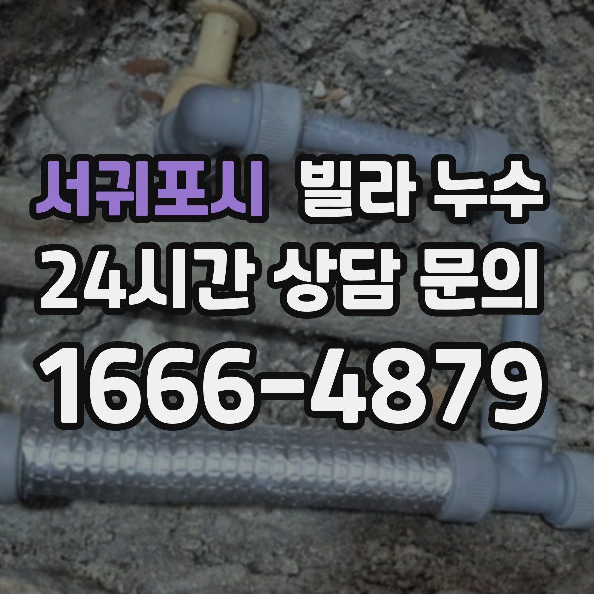 서귀포시 빌라 누수