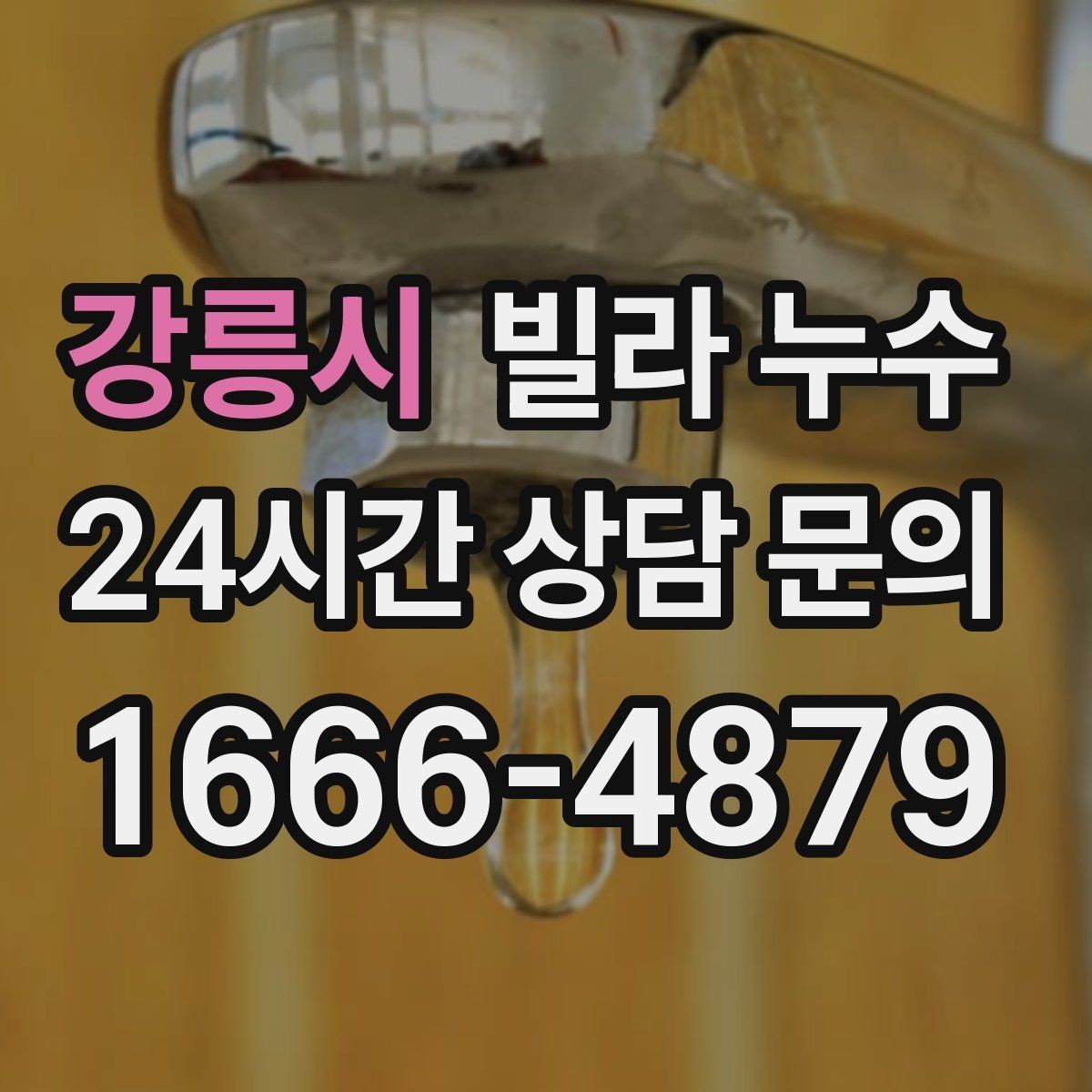 강릉시 빌라 누수 물받이·비닐 보호로 피해를 줄이는 방법