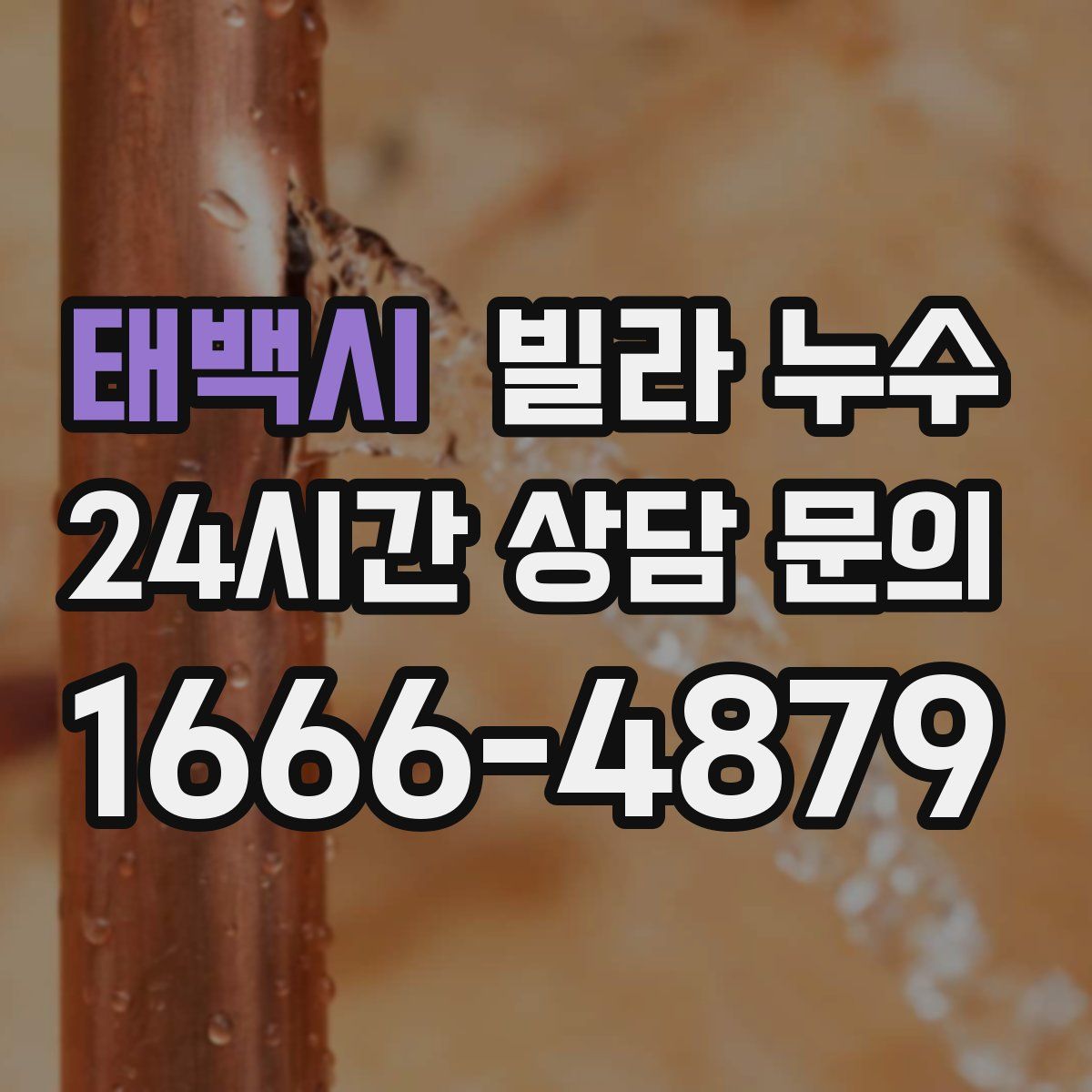 태백시 빌라 누수