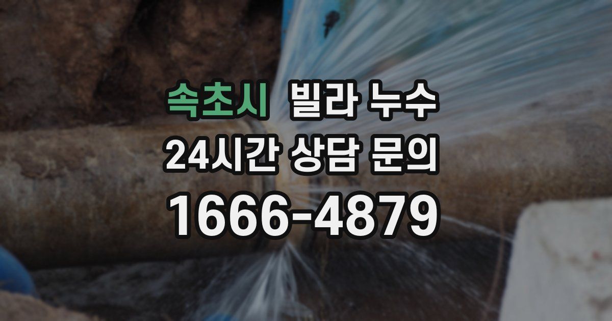 속초시 빌라 누수
