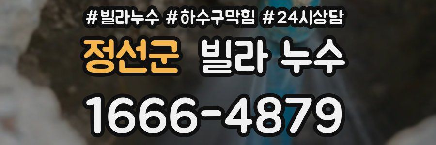 정선군 빌라 누수