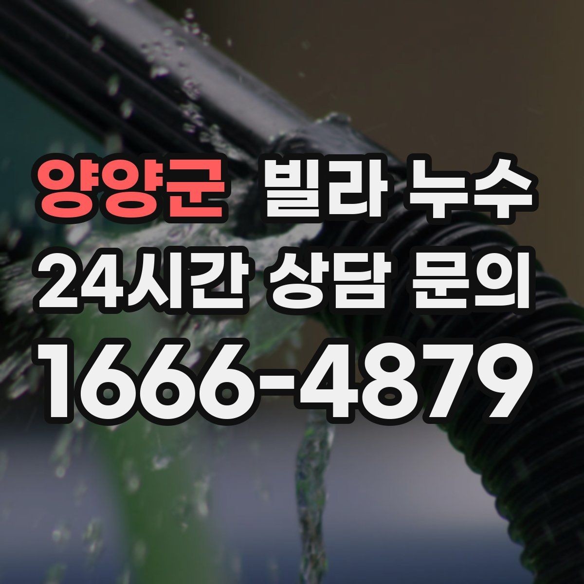 양양군 빌라 누수 환기해도 마르지 않는 벽은 왜 그럴까