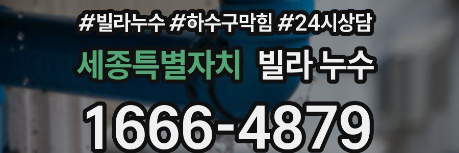 세종특별자치 빌라 누수