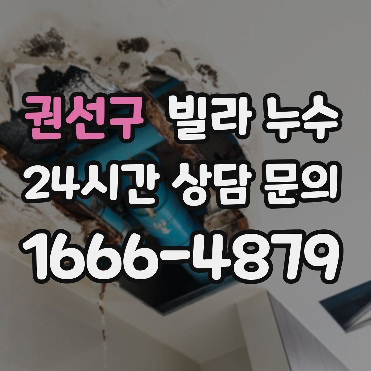 권선구 빌라 누수 옥상 근처 천장 얼룩이 생기면 의심할 것