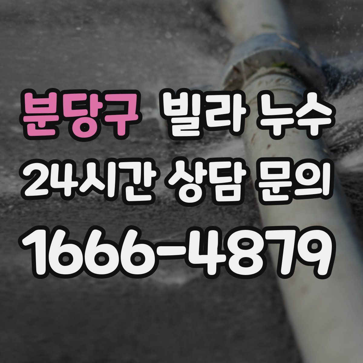 분당구 빌라 누수